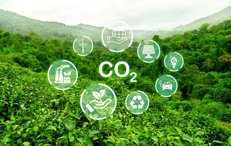 Read more about the article Neutralité carbone : commencez par le bilan CO₂