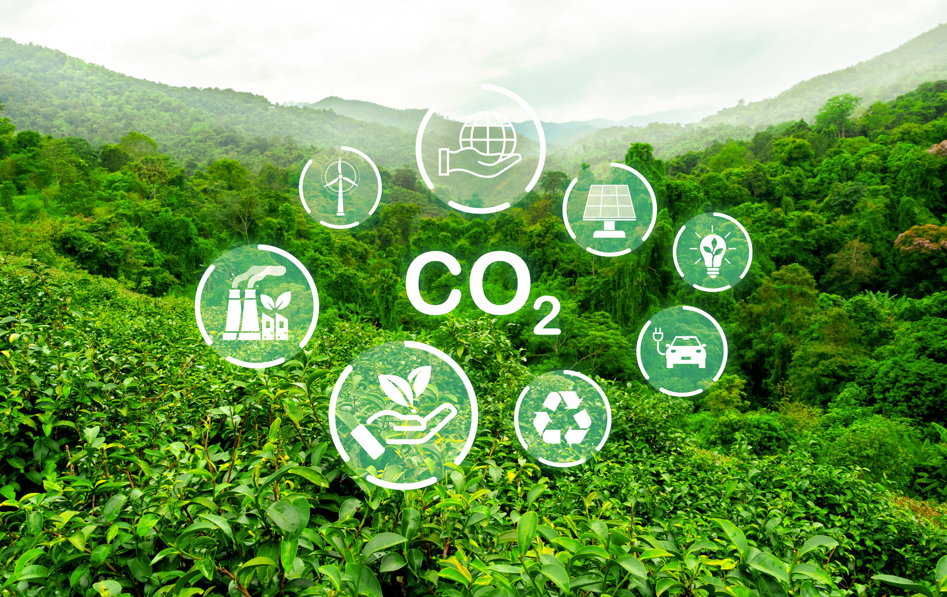 You are currently viewing Neutralité carbone : commencez par le bilan CO₂
